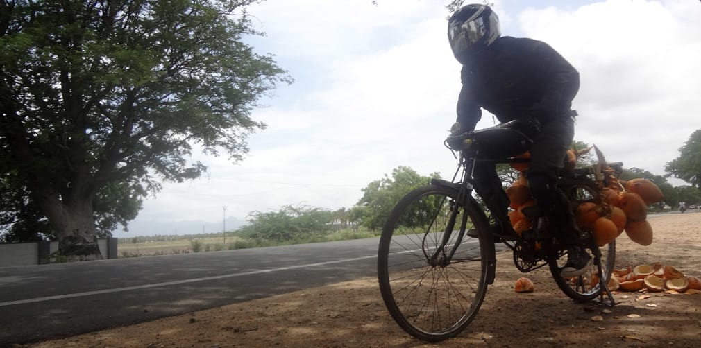 Safety_Comes_First_Coconut_Seller